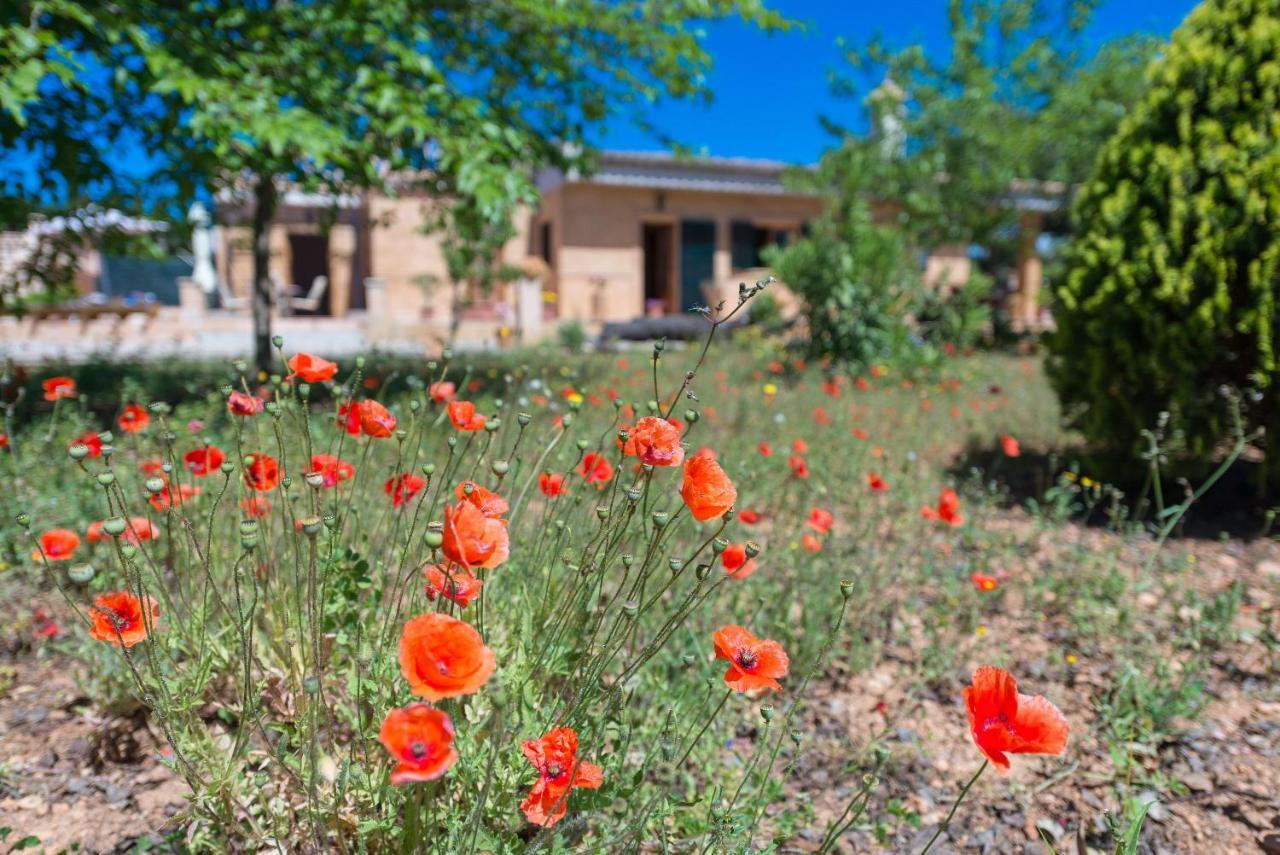 Ses Llegitimes Villa Marratxi Exterior photo